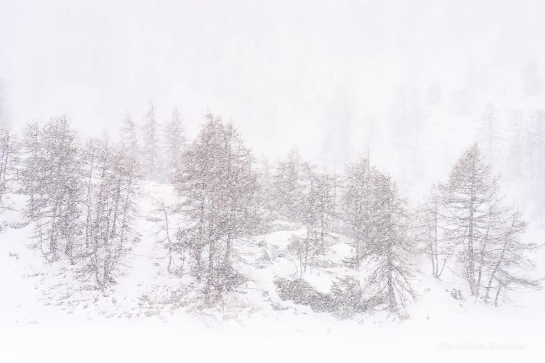 0687 - Jour de neige, Clarée
