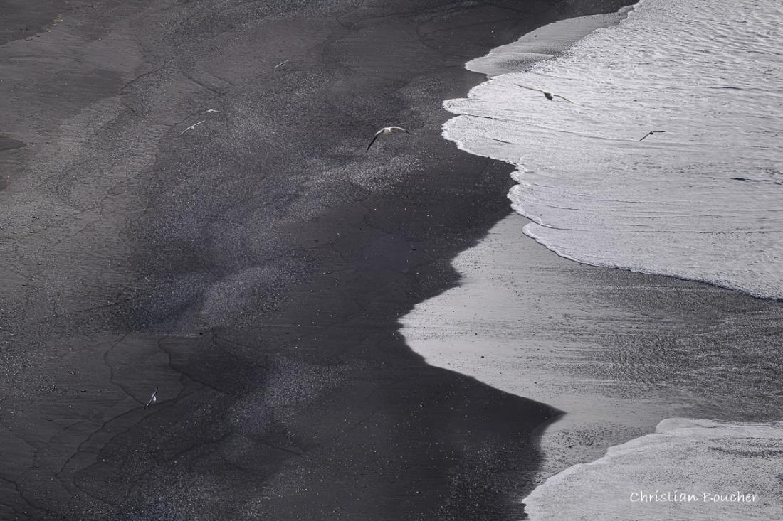 4565 - Plage de Reynisfjara