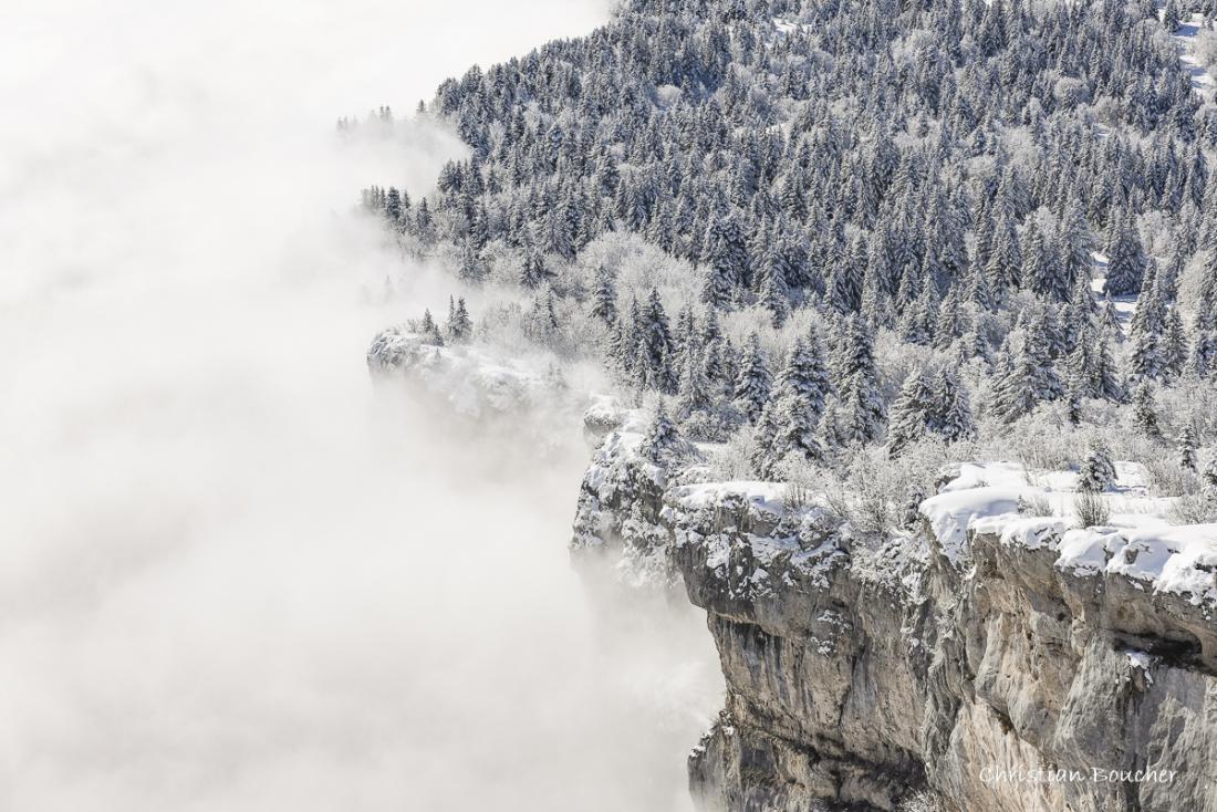 8586 - De neige et brouillard 8586 - De neige et brouillard