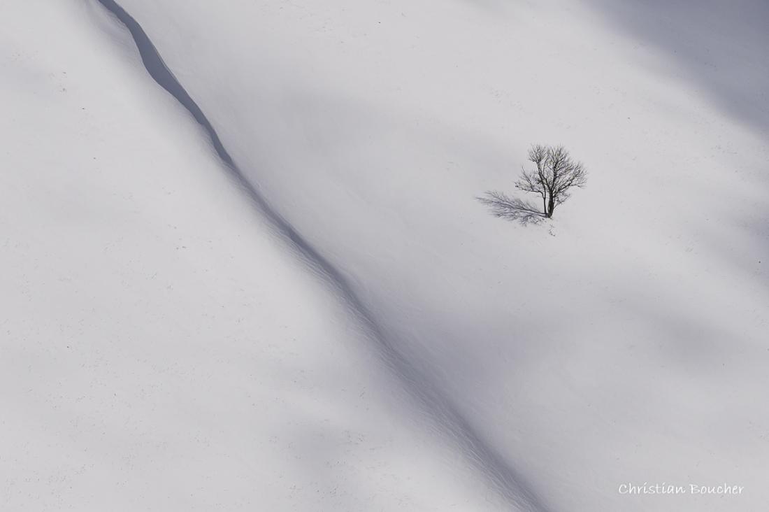 6735 - L'arbe du vallon de Combeau 6735 - L'arbe du vallon de Combeau