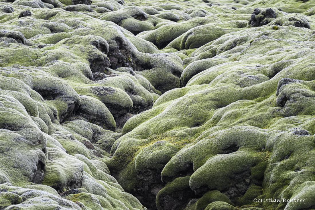 4790 - Champ de lave d'Eldhraun 4790 - Champ de lave d'Eldhraun