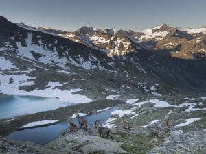 2743 Maurienne Carro