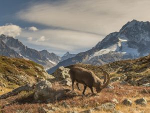 3400 Aiguilles Rouges