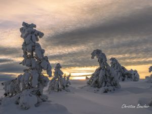 6062 Sentinelles du Grand Tanargue