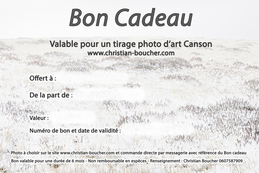 BON CADEAU