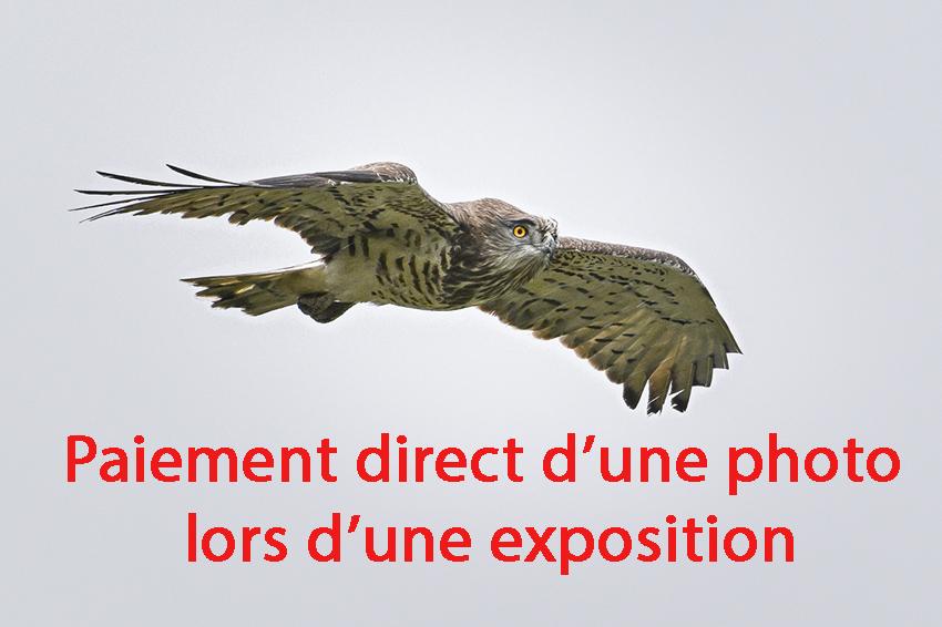 Paiement direct d'une photo lors d'une exposition