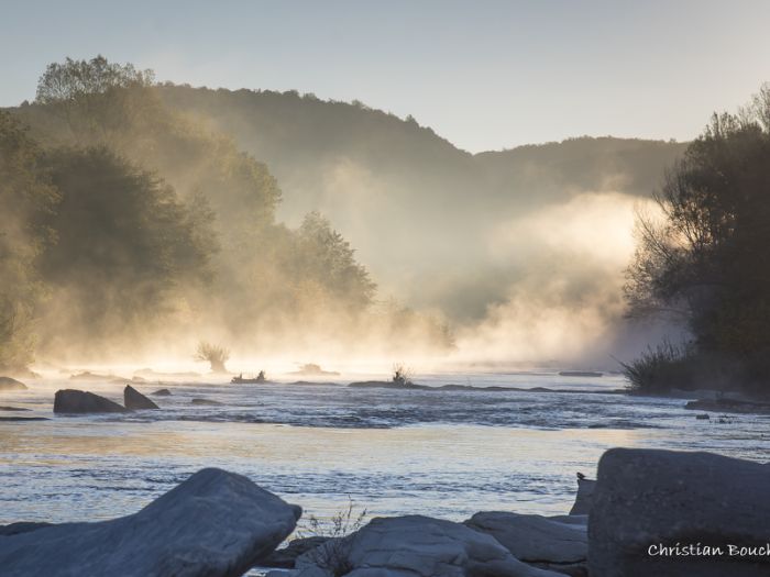 6030 Le cincle plongeur